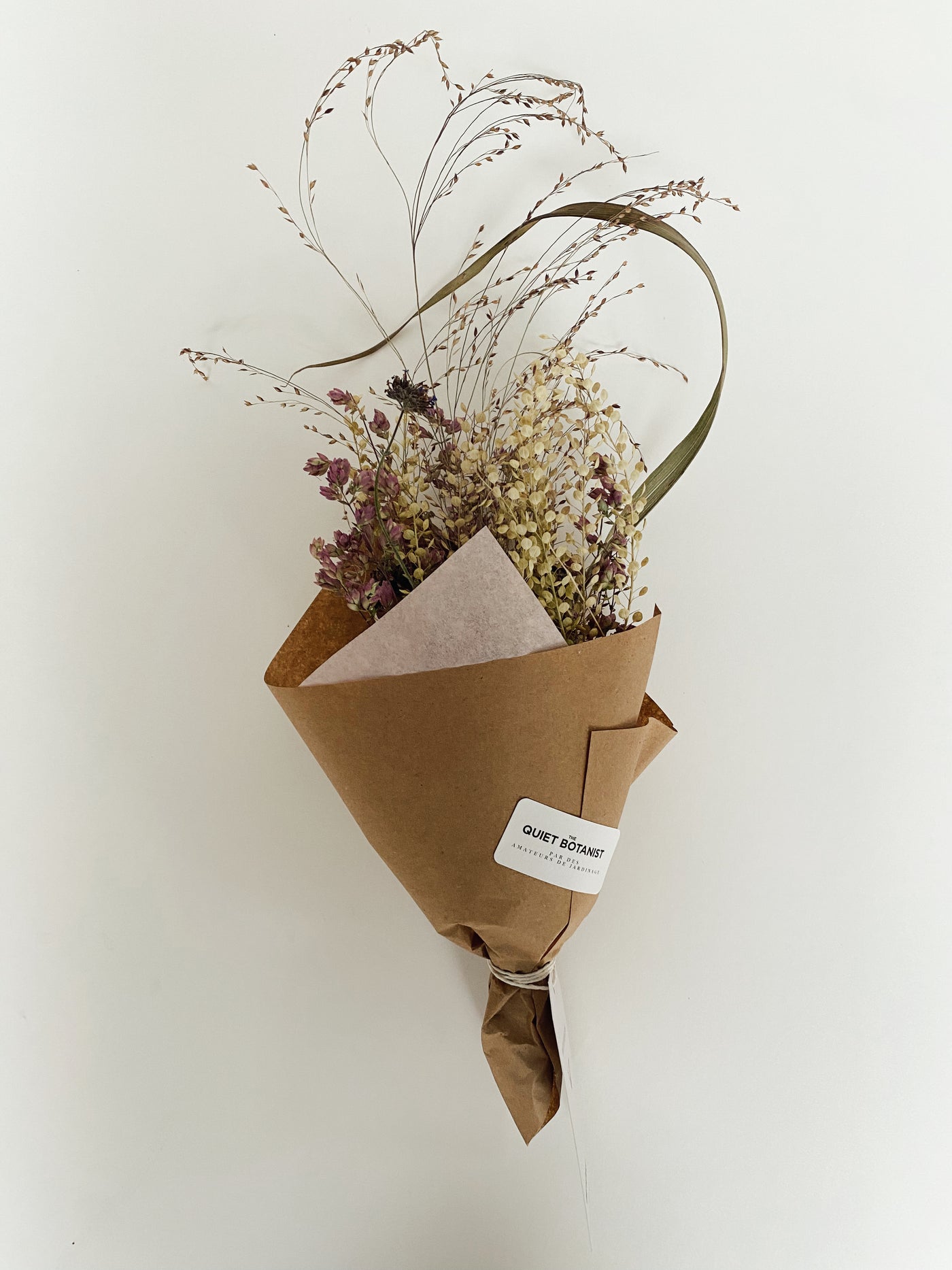 Mini Botanist Dried Flower