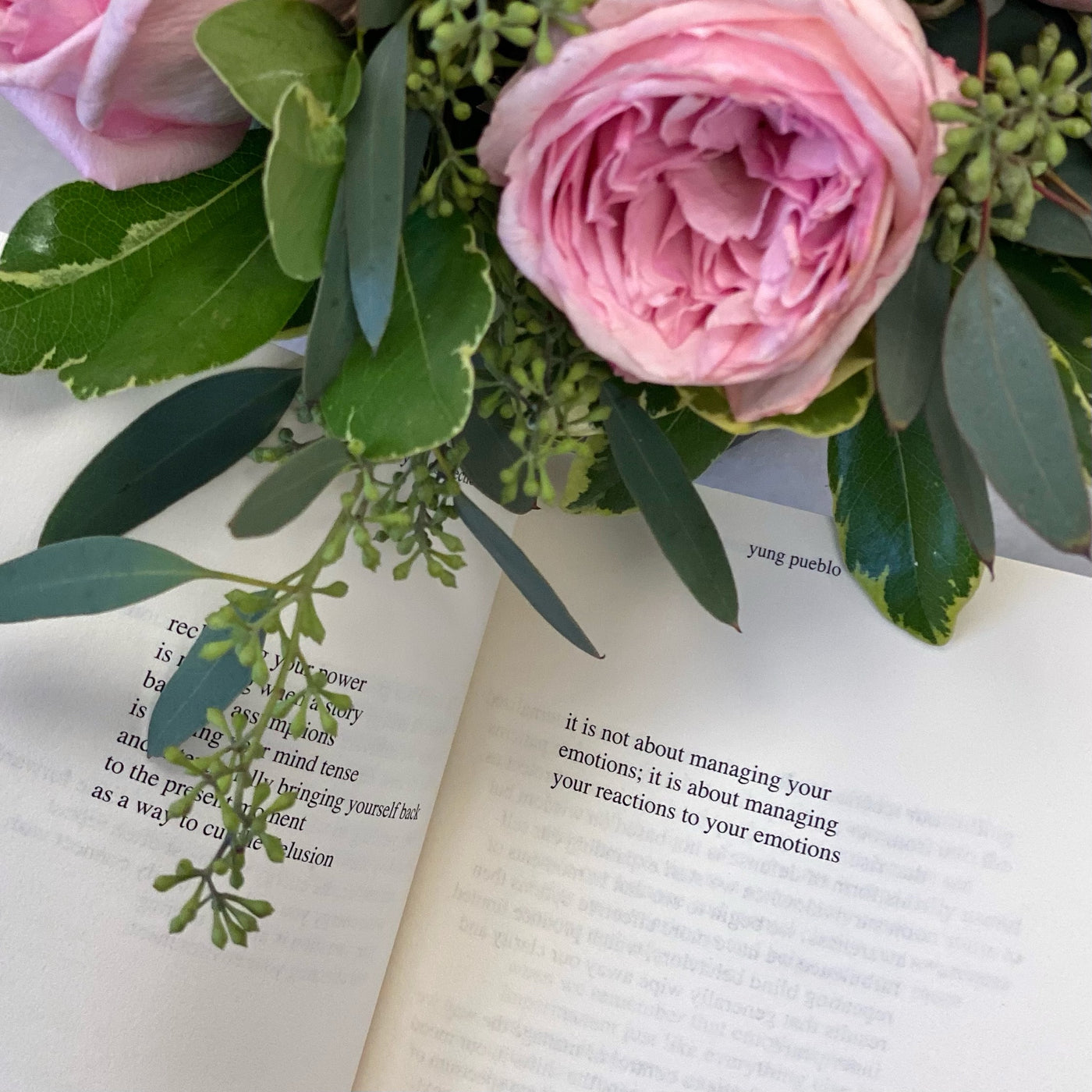 Clarity & Connection